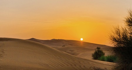 The Sunrise in the Desert...