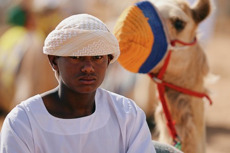 Camel Caretaker