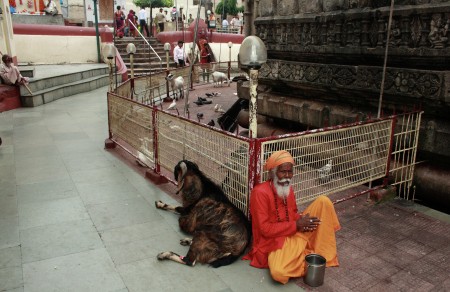 Peaceful co existence