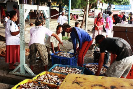 - Panen Ikan -
