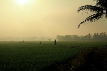 kerja pagi