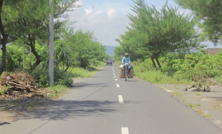 membawa pakan ternak