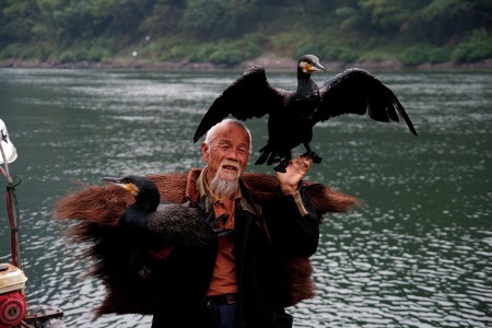 Cormorant Fisherman