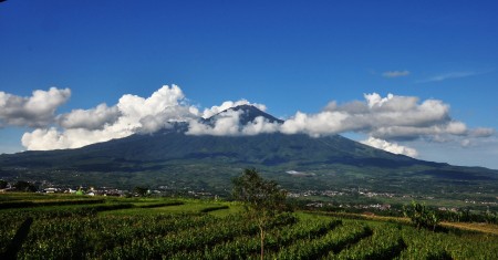 Arjuna
