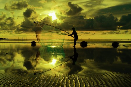 Catch the sun