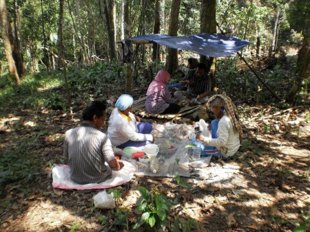 rimba dan kami
