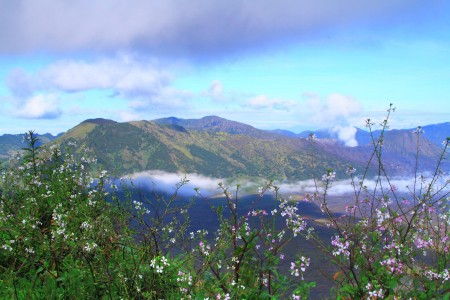 a view of the Bromo, Tengger, Semeru National Park