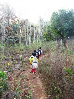Walking to School through the Forest