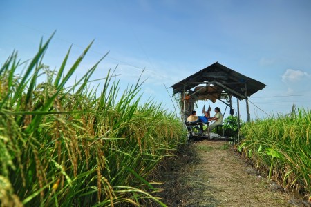Green, yellow, blue color our lives