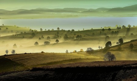 The beauty of nature.
