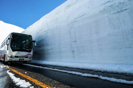 The Wall of Ice