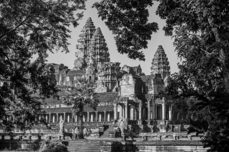 Angkor Wat Through the Trees