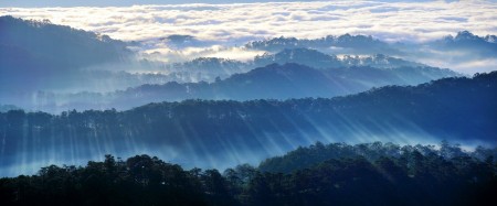 Misty valley