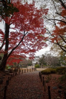 Colorful Path