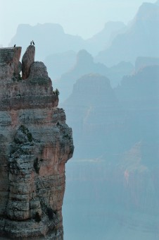 The Kingdom of Condor