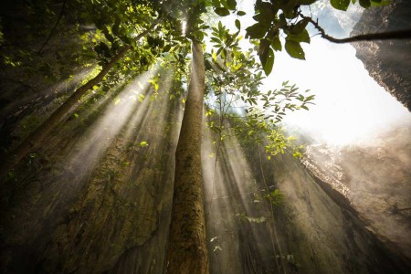 Sun ray