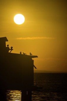 Enjoying Sunrise
