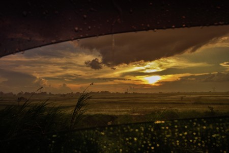 Raining at sunset