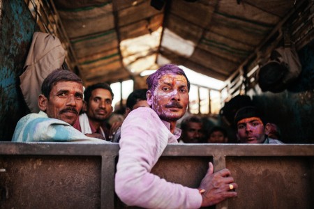 Going Holi