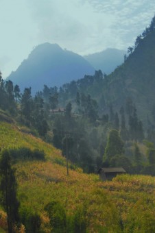 Sisi lain Desa Cemoro Lawang