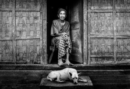 old lady, old house and the old dog