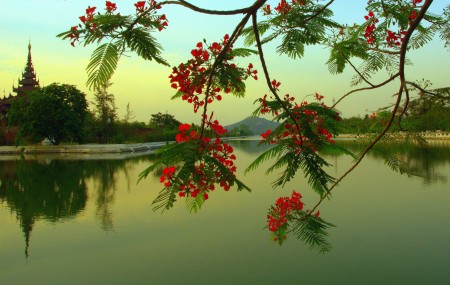 Mandalay View