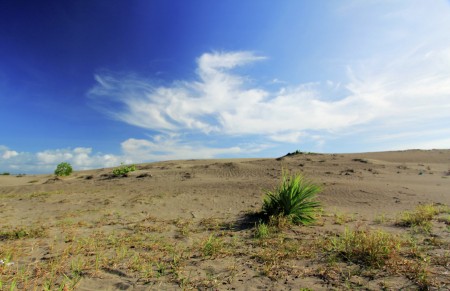 Fenomena Gumuk Pasir