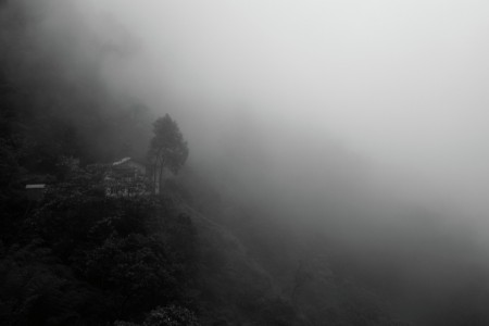 Morning at Pelling