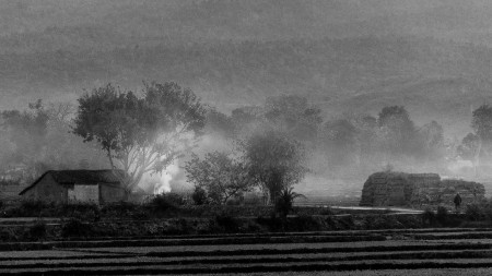 Lonely Morning