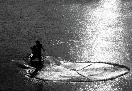 throw a casting-net