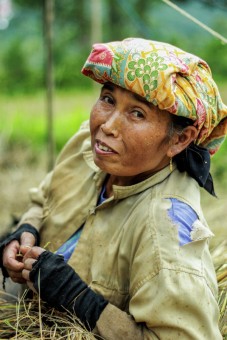 After hard work in the field