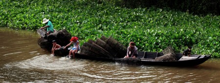 Mekong_Flood_season
