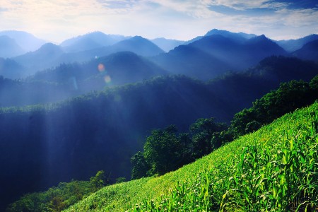 misty morning