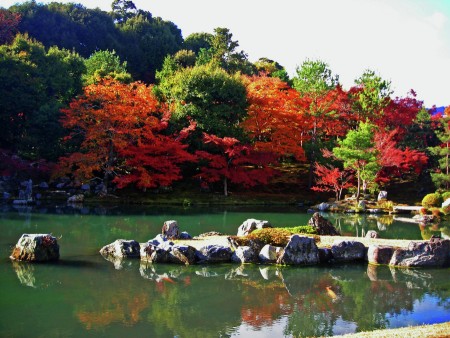 The Diversity of Leaves