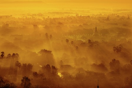 Golden morning