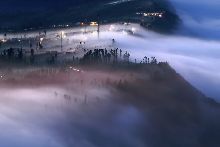 The FOG in the village
