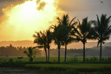 Citumang Sunset