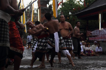 Daratan in Action