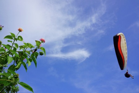 Flying high