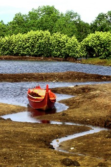 The Boat