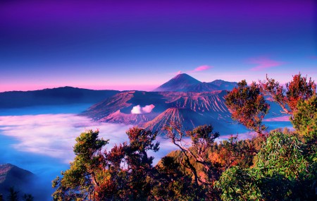 Sunrise at Mt. Bromo