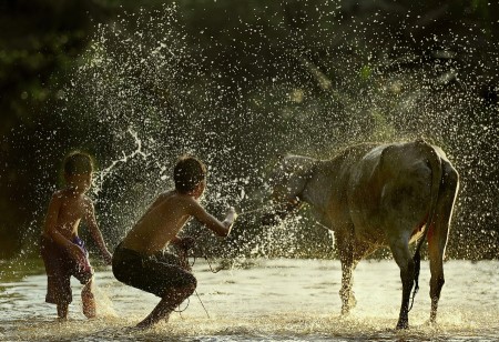 Morning Bath