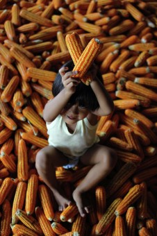 Corn Girl