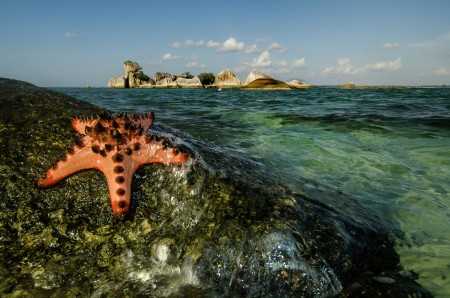 The Beauty of Belitong Island
