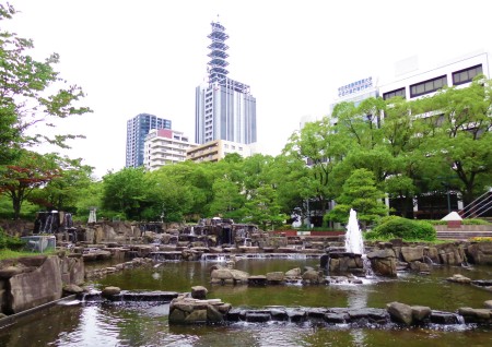 Forest In The City