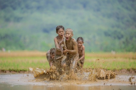 Membajak Sawah