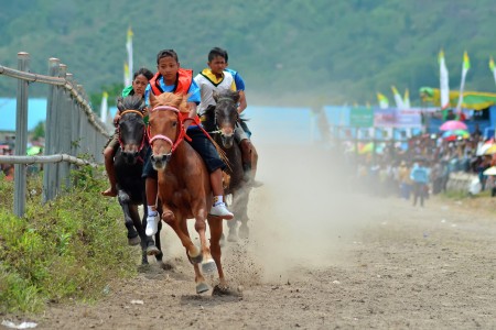 Pacu Kuda Tradisional