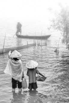 A rainny day