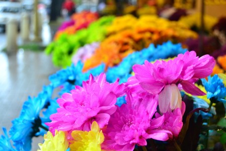 The Colors