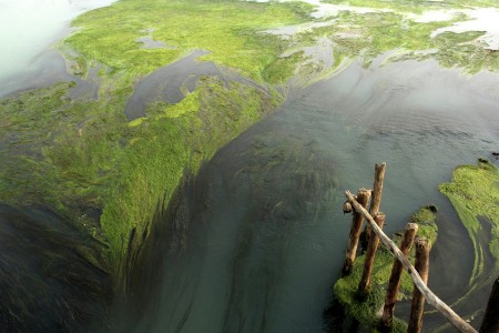 RIVER BED